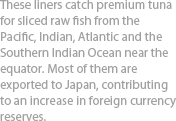 These liners catch premium tuna for sliced raw fish from the Pacific, Indian, Atlantic and the Southern Indian Ocean near the equator. Most of them are exported to Japan, contributing to an increase in foreign currency reserves.